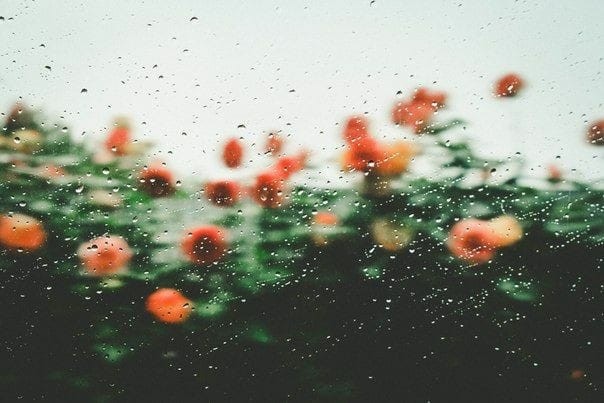 «Άγχος στα παιδιά... Συμπτώματα, Αίτια και Τεχνικές Διαχείρισης από τους  γονείς»  23/02