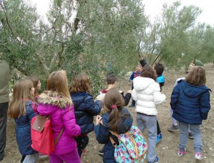 Η Β΄ τάξη στον "Ελαιώνα Καζάκη"