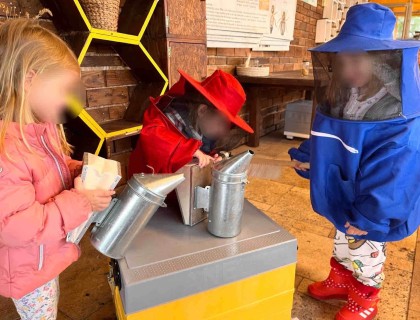 Οι μαγικές ιδιότητες του… μελιού