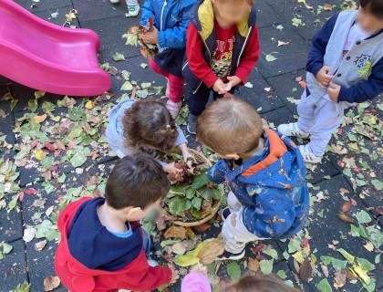 Ο σκαντζόχοιρος, ο φίλος μας από… φύλλα!