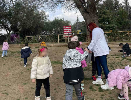 «Δάσος… πηγή ζωής»