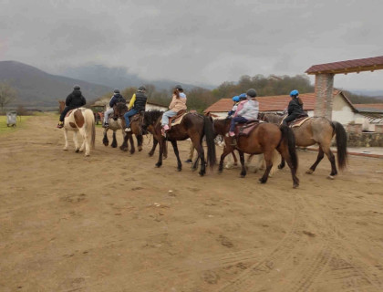 Ημερήσια εκδρομή στη λίμνη Κερκίνη
