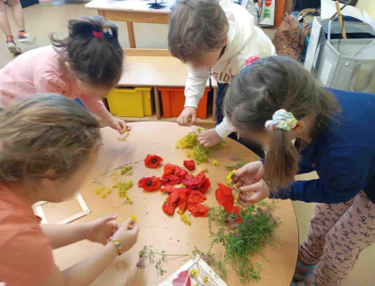 Ο κόσμος των εντόμων