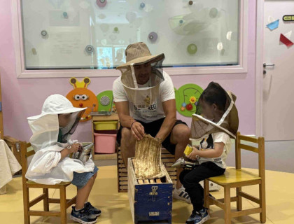 Τι γνωρίζεται για τις μέλισσες;