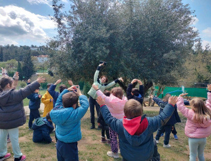 Το «ταξίδι» του σπόρου