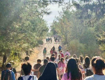 Στα μονοπάτια του δάσους