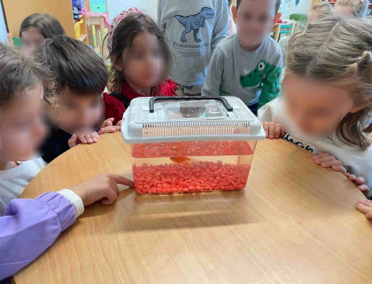 Τα ψαράκια μας