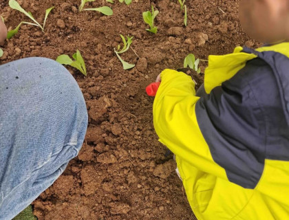 Φυτεύουμε τα πρώτα λαχανικά