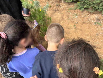 Τα «μυστικά» των βοτάνων