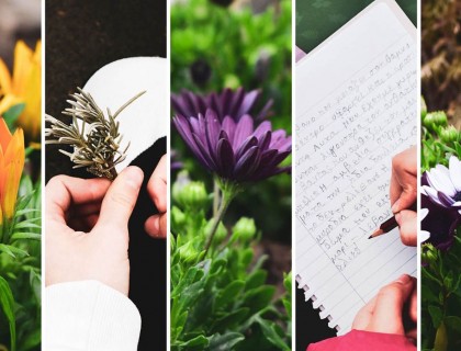 Ο «πρότυπος» κήπος της αειφορίας!