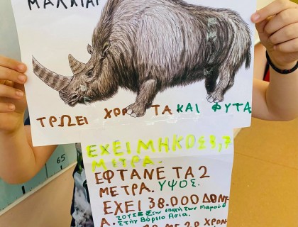 Φτιάξαμε ταυτότητες για τα ζώα!