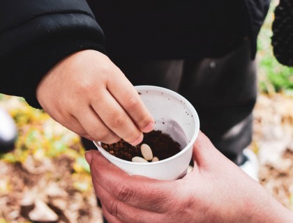 Το παραμύθι «Ο Τζακ και η  φασολιά» ζωντάνεψε!