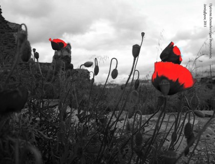 Ταξιδεύοντας με το Photoshop - 4ο Μαθητικό Συνέδριο Πληροφορικής