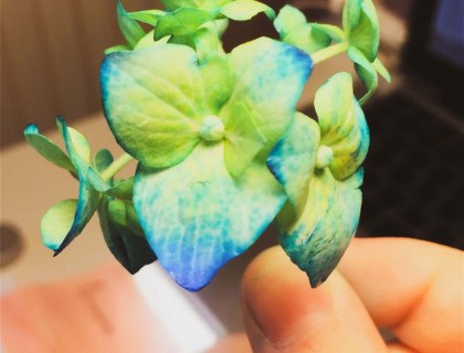 Το νερό, πηγή ζωής!