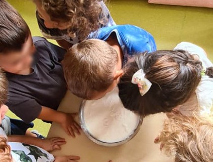 Φτιάξαμε το δικό μας παγωτό - 11μηνη φοίτηση