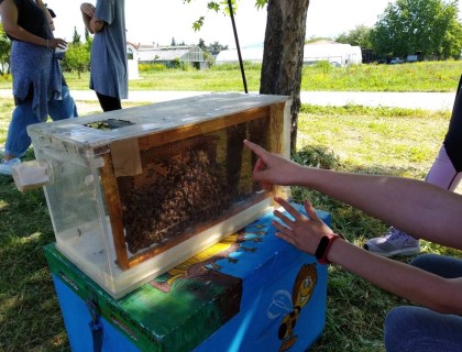 Εκδρομή στη φύση: Μπιζζζζ!