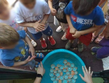 Καλοκαιρινά παιχνίδια στην αυλή μας!