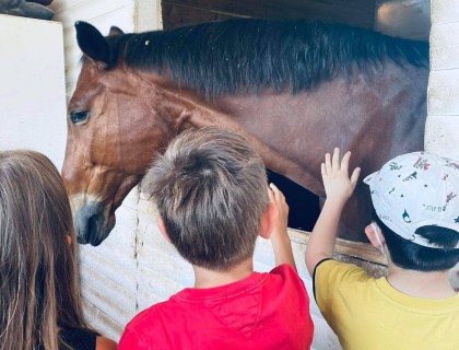 Μαθαίνουμε για τον μαγικό κόσμο των αλόγων!