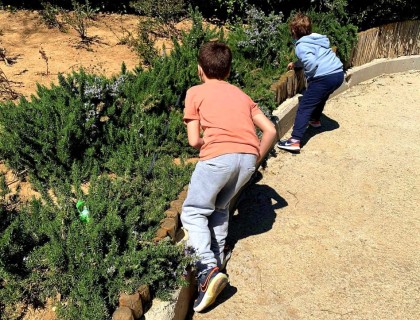 Ostereiersuche… ή αλλιώς ψάχνοντας πασχαλινά αυγά στον κήπο του Σχολείου μας!