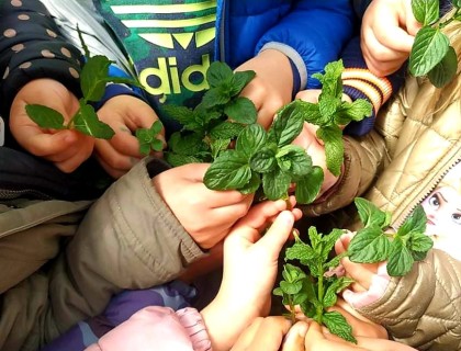 Τα νηπιάκια μας μαθαίνουν να προστατεύουν το περιβάλλον!