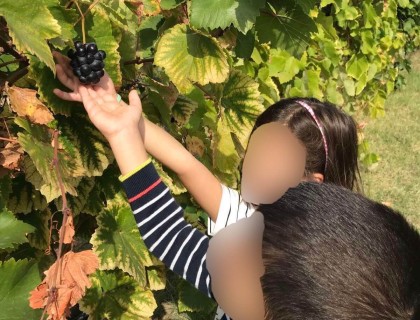 Φθινόπωρο... η εποχή των σταφυλιών!