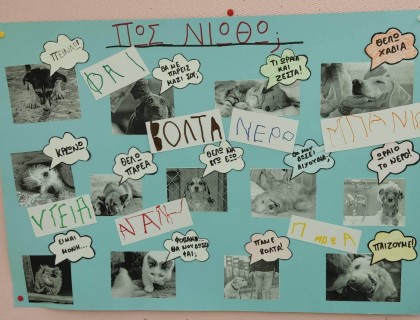 Λατρεύουμε τα ζωάκια