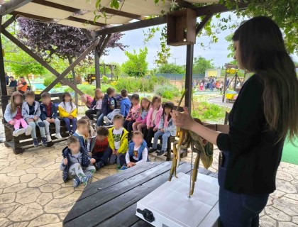 Εξερευνήσαμε τον κόσμο των εντόμων