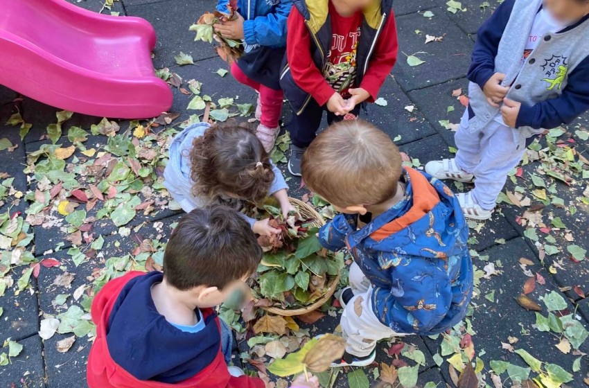 Ο σκαντζόχοιρος, ο φίλος μας από… φύλλα!