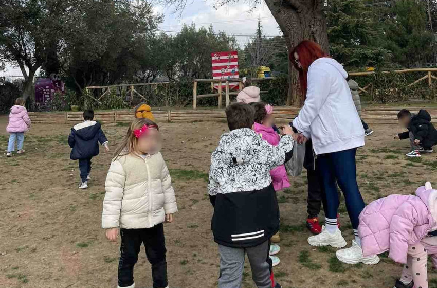 «Δάσος… πηγή ζωής»