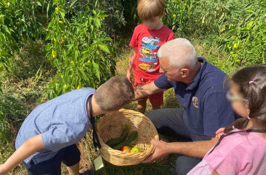 Έφτασε η ώρα της συγκομιδής για τον λαχανόκηπό μας