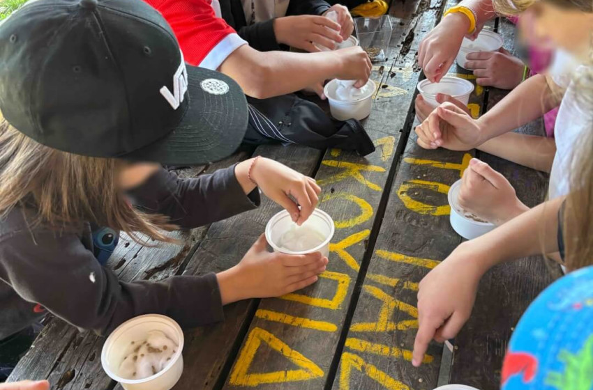 Εξερευνώντας το δάσος μαζί