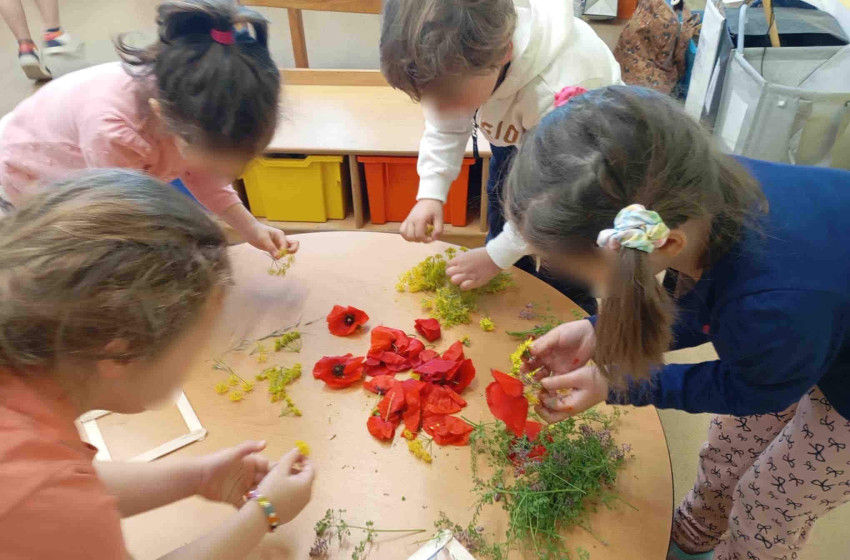 Ο κόσμος των εντόμων