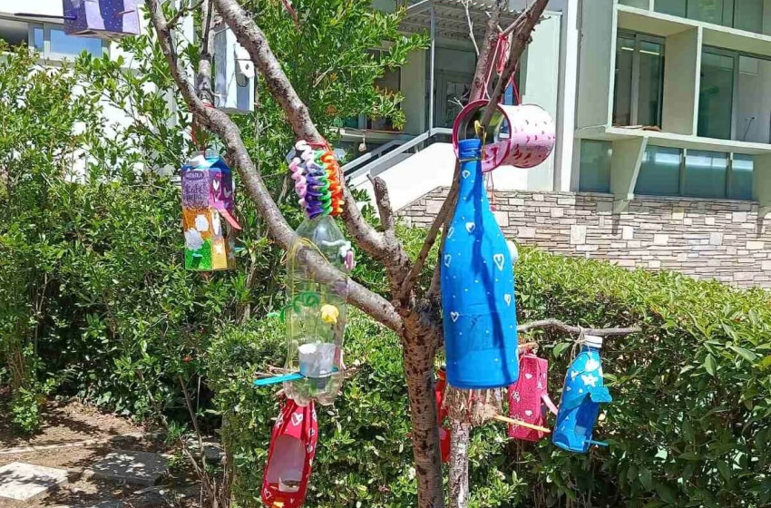 Φροντίζουμε τα πτηνά του ουρανού