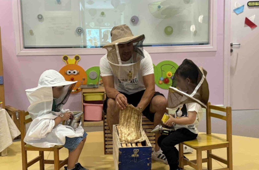 Τι γνωρίζεται για τις μέλισσες;