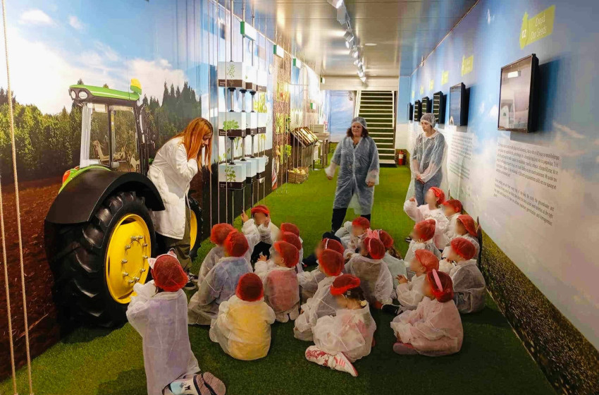 Η σημασία της μεσογειακής διατροφής