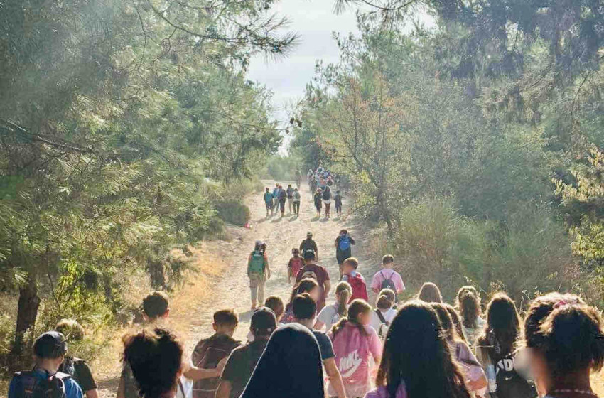 Στα μονοπάτια του δάσους