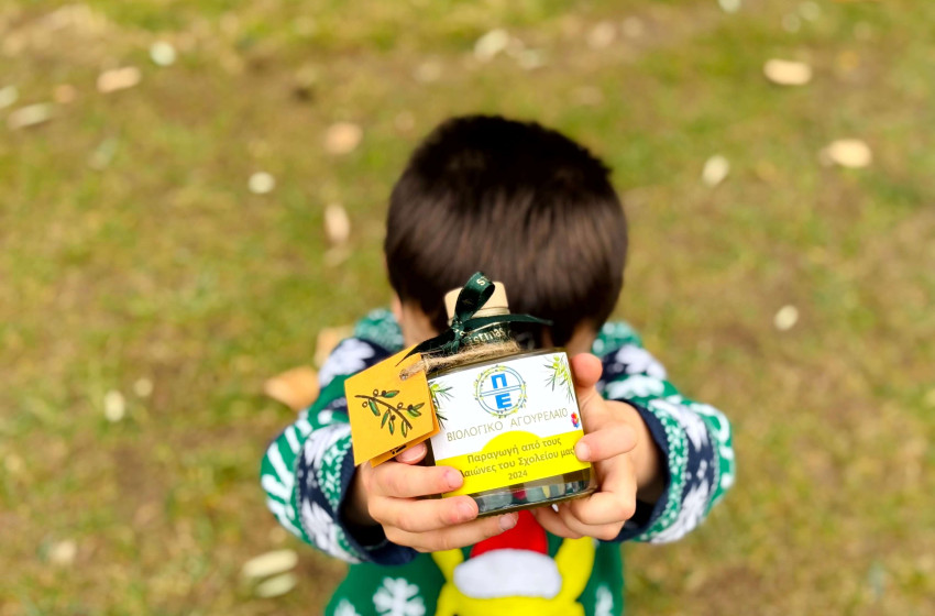 ΠΑΡΟΥΣΙΑΣΗ ΑΕΙΦΟΡΙΚΩΝ ΔΡΑΣΕΩΝ