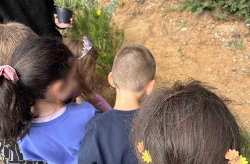 Τα «μυστικά» των βοτάνων