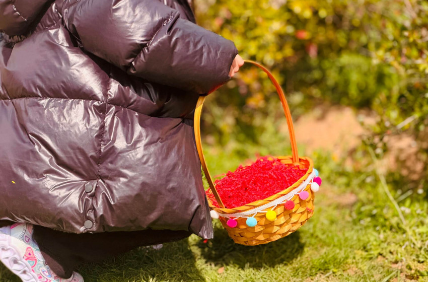 «Το κυνήγι των αυγών»