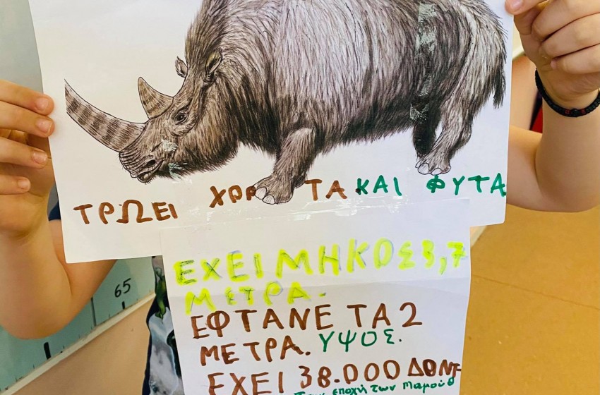 Φτιάξαμε ταυτότητες για τα ζώα!