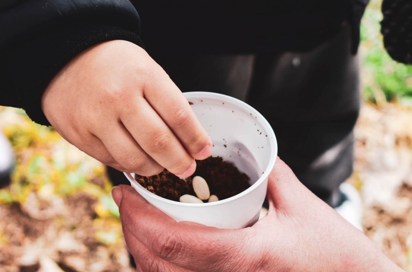 Το παραμύθι «Ο Τζακ και η  φασολιά» ζωντάνεψε!