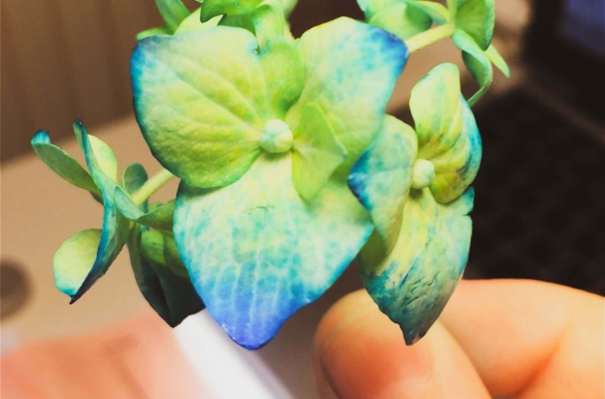 Το νερό, πηγή ζωής!