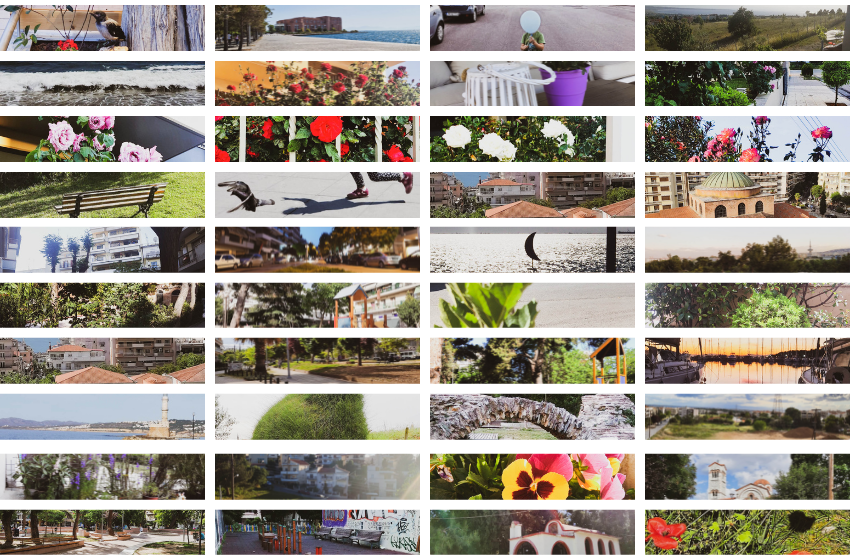 Μικροί φωτογράφοι εν δράσει!