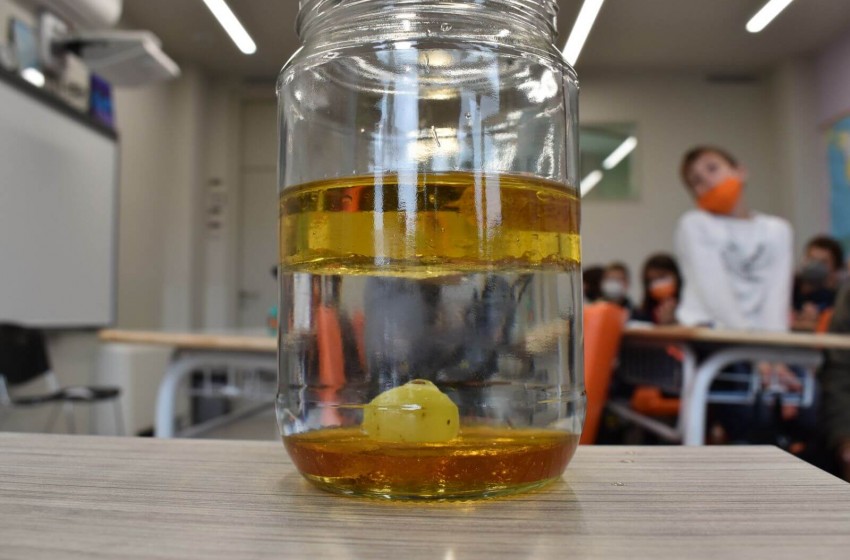 Ώρα για…πείραμα!