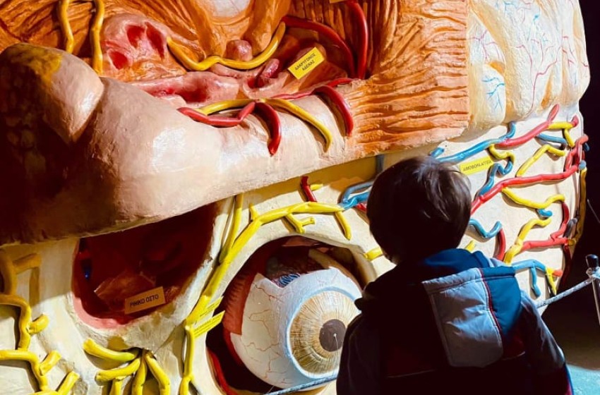 Ανακαλύπτουμε το σώμα μας!