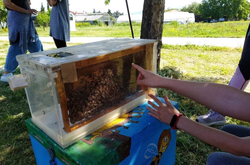 Εκδρομή στη φύση: Μπιζζζζ!
