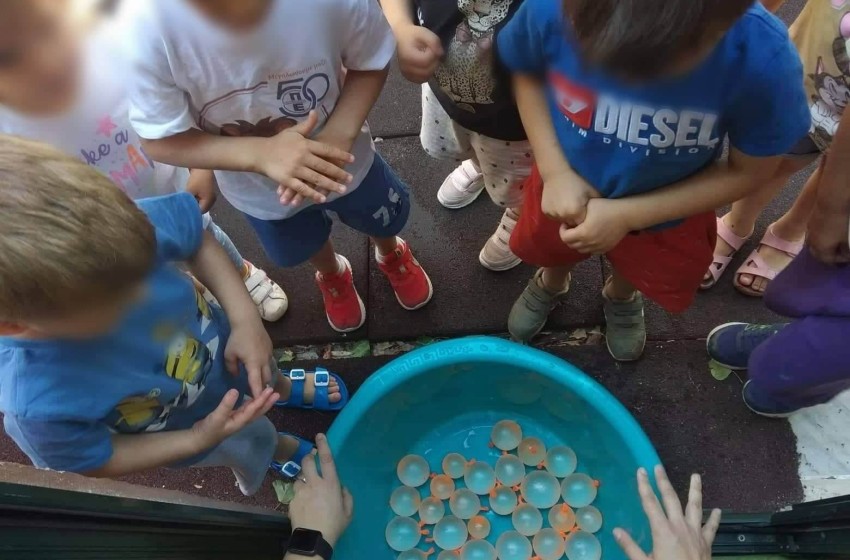 Καλοκαιρινά παιχνίδια στην αυλή μας!