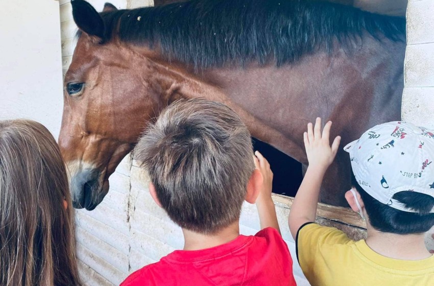Μαθαίνουμε για τον μαγικό κόσμο των αλόγων!