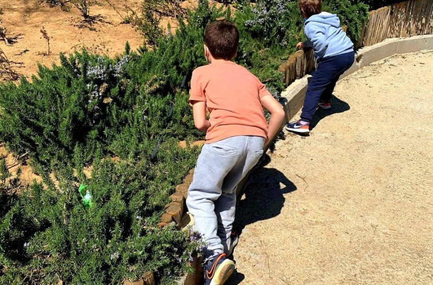 Ostereiersuche… ή αλλιώς ψάχνοντας πασχαλινά αυγά στον κήπο του Σχολείου μας!