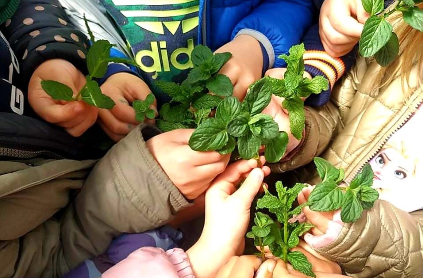 Τα νηπιάκια μας μαθαίνουν να προστατεύουν το περιβάλλον!